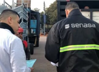 ATE ACATA CONCILIACIÓN OBLIGATORIA EN SENASA Y PONE CONDICIONES