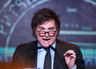 HARTAZGO Y CAPTURA DEL VOTO JOVEN: LAS CLAVES DEL TRIUNFO DE MILEI