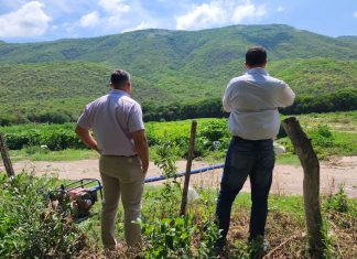 PROHIBEN EL RIEGO DE VERDURAS Y HORTALIZAS CON AGUAS CONTAMINADAS EN LA ZONA DEL RÍO ARENALES