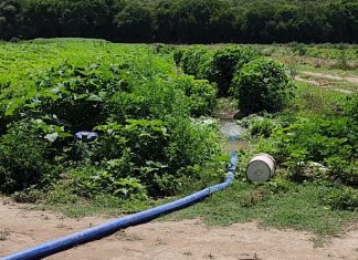 LABRAN ACTAS POR USO INDEBIDO DEL AGUA DEL RIO ARENALES