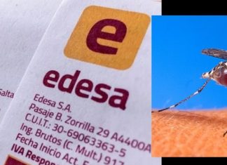 SALTA ENTRE EL TARIFAZO Y EL DENGUE