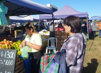 “EL MERCADO EN TU BARRIO” ESTARÁ EN PABLO SARAVIA