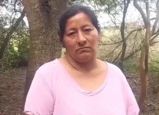 RECIEN EN EL DIA 22 DE LA DESAPARICIÓN DE LOAN DETUVIERON A LAUDELINA