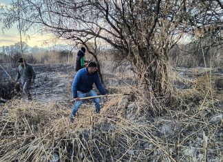 LA MUNICIPALIDAD REALIZA LA LIMPIEZA DE UN TERRENO BALDÍO DE GRAN TAMAÑO