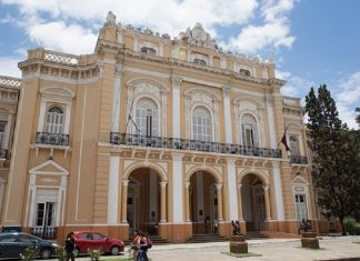 DIPUTADOS: HABRÁ DURAS SANCIONES PARA LOS DESALMADOS QUE ABANDONEN MASCOTAS