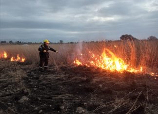 RECOMIENDAN SEGUIR LAS PREVENCIONES POR EL ALTO ÍNDICE DE INCENDIOS FORESTALES EN SALTA