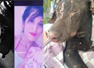 LA PSICÓPATA CINTIA QUINTANA LLEGA A JUICIO POR QUEMAR Y MATAR AL PERRITO ZEUS