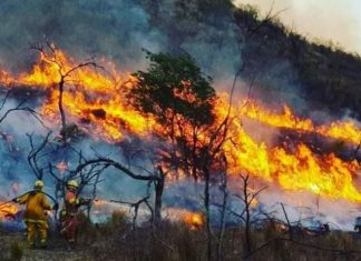 CONTINÚAN LOS TRABAJOS DEL EQUIPO MUNICIPAL ANTE LOS FUERTES VIENTOS E INCENDIOS EN LA CIUDAD