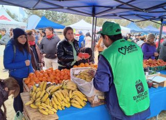 MILES DE PERSONAS SE ACERCARON A “EL MERCADO EN TU BARRIO” EN ZONA NORTE