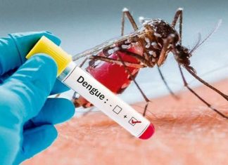 DIPUTADOS SOLICITAN GARANTIZAR LA VACUNACIÓN CONTRA EL DENGUE EN LA PROVINCIA