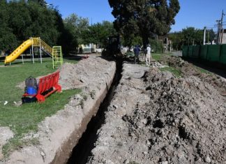COMENZÓ LA PUESTA A PUNTO DE LA PLAZA CEFERINO