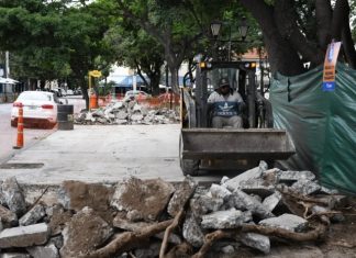 COMENZARON LAS OBRAS DE MANTENIMIENTO EN LA PLAZA ALVARADO