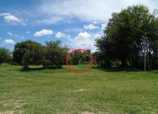 PODRÍA HABER SIDO UNA TRAGEDIA LA CAÍDA DE LA AVIONETA EN EL PREDIO DE UNIVERSITARIO RUGBY CLUB