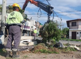 EL MUNICIPIO RETIRÓ MÁS DE 44 MIL MICROBASURALES DURANTE EL AÑO 2024