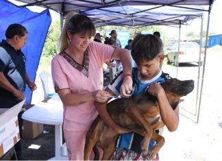 INICIÓ EL OPERATIVO DE BIENESTAR ANIMAL EN INMEDIACIONES DEL RELLENO SANITARIO