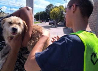 SE REALIZARÁ UN OPERATIVO INTEGRAL DE BIENESTAR ANIMAL EN EL RELLENO SANITARIO SAN JAVIER