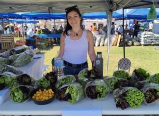 “EL MERCADO EN TU BARRIO” ESTARÁ EN LA ZONA NORTE DE LA CIUDAD