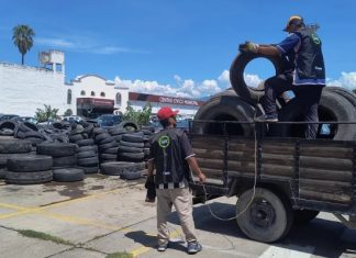 TRAS EL 10° NEUMATÓN, SE SUPERARON LAS 700 TONELADAS RECOLECTADAS