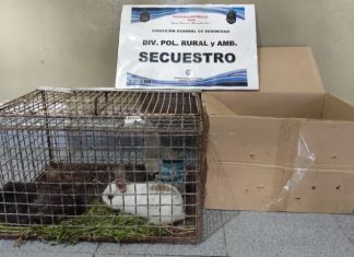 LA MUNICIPALIDAD INTERVINO UN PUESTO DE VENTA DE ANIMALES EN SOLIDARIDAD