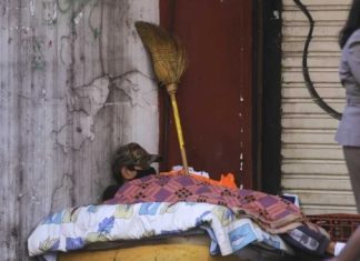 LA POBREZA BAJÓ AL 34,9% EN FEBRERO ÚLTIMO, SEGÚN UNA PROYECCIÓN DE LA UNIVERSIDAD DI TELLA