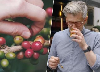 UNA TAZA DE CAFÉ CUESTA 300 EUROS EN JAPÓN…Y LO PAGAN