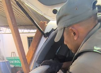 IMPUTAN Y DICTAN LA PRISIÓN PREVENTIVA A UN EMPLEADO DEL PODER JUDICIAL SALTEÑO POR TRANSPORTAR 23 KILOS DE MARIHUANA