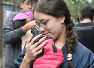 EN EL CENTRO DE ADOPCIONES MUNICIPAL SE CELEBRÓ EL DÍA DEL ANIMAL