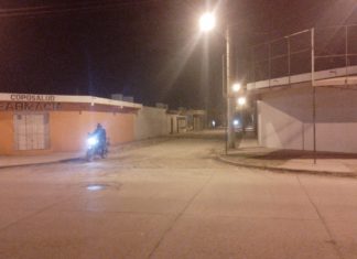 INSEGURIDAD Y CRUELDAD: LES MATAN LOS PERROS PARA LUEGO PODER ENTRAR A ROBAR