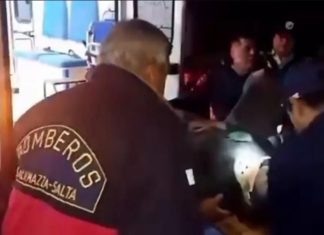 SALVADOR MAZZA: ENERGÚMENOS DE UN COLEGIO LA SOMETIERON A UN BULLING TAN BRUTAL QUE SE TIRÓ DE UN PUENTE