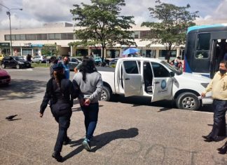 CYNTHIA MOYA Y SU FALSA FINANCIERA RÍOS & ASOCIADOS A JUICIO