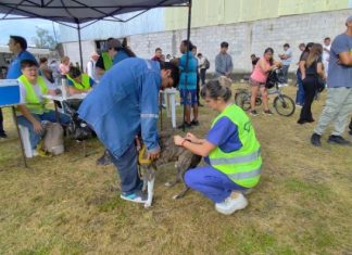 ESTE SÁBADO “LA MUNI EN TU BARRIO” ESTARÁ EN 20 DE JUNIO