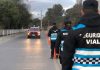 MÁS DE 200 BORRACHOS AL VOLANTE EL FIN DE SEMANA EN SALTA