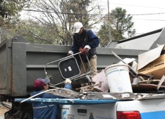 DESCACHARRADO: SE LLEVAN RECOLECTADAS 540 TONELADAS