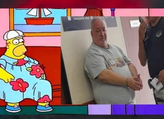 AL IGUAL QUE HOMERO SIMPSON AL INTENDENTE CORNEJO LO MANDARON A LA CASA POR OBESO