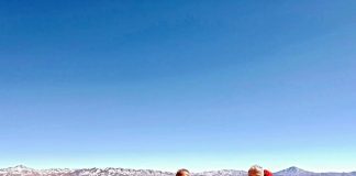 TRABAJOS DE CONSERVACIÓN EN LA PUNA SALTEÑA