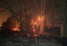 EQUIPOS MUNICIPALES TRABAJAN PARA SOFOCAR UN GRAN INCENDIO EN VILLA VIOLETA