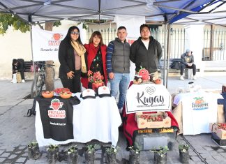 PRODUCTORES DE FRUTILLA ANUNCIARON LA APERTURA OFICIAL DE LA COSECHA 2025