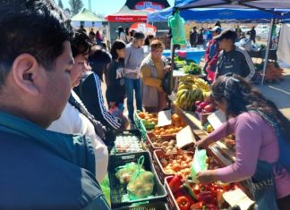 RÉCORD DE VENTAS EN “EL MERCADO EN TU BARRIO” EN SANTA LUCÍA
