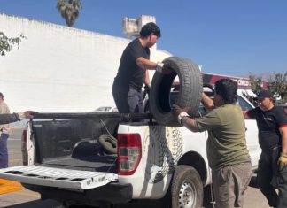 NEUMATÓN: SE LLEVAN RECOLECTADAS 1.100 TONELADAS DE CUBIERTAS