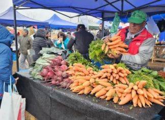 VECINOS DE ZONA NORTE APROVECHARON LAS OFERTAS DE “EL MERCADO EN TU BARRIO”