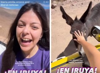 EMILIA OROZCO: REPUDIOS, LA ÉTICA PÚBLICA Y UN BURRO EN LA PUNA
