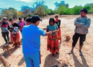 SE DESARROLLÓ UN BARRIDO SANITARIO EN UNA MISIÓN DE SANTA VICTORIA ESTE