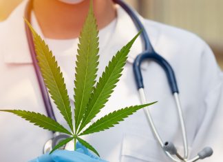 REGISTRO PROVINCIAL DE CANNABIS MEDICINAL Y LOS BENEFICIOS DE LA NUEVA NORMATIVA