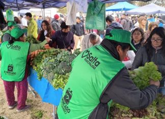 “EL MERCADO EN TU BARRIO” LLEGA A CIUDAD DEL MILAGRO CON DESCUENTOS DE HASTA EL 30%