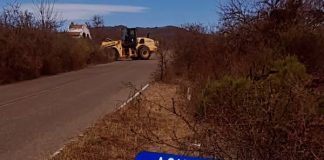 PRESENCIA DE PEREGRINOS EN LAS RUTAS NACIONALES DE SALTA