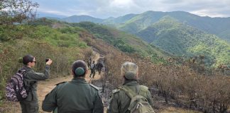 CASO CORDEYRO: EL CUERPO PRESENTABA UNA SERIE DE QUEMADURAS SUPERFICIALES, QUE NO TENDRÍAN INCIDENCIA EN LA CAUSA DE MUERTE