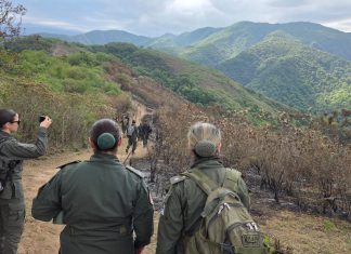 CASO CORDEYRO: EL CUERPO PRESENTABA UNA SERIE DE QUEMADURAS SUPERFICIALES, QUE NO TENDRÍAN INCIDENCIA EN LA CAUSA DE MUERTE