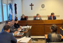 “CUANDO ME CONECTO CON EL CASO ME SIENTO UNA ESPECIE DE SOBREVIVIENTE”