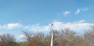 INCENDIOS INTENCIONALES CORTARON EL SERVICIO DE ENERGÍA ELÉCTRICA EN PARTE DEL NORTE PROVINCIAL