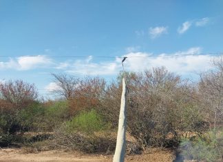 INCENDIOS INTENCIONALES CORTARON EL SERVICIO DE ENERGÍA ELÉCTRICA EN PARTE DEL NORTE PROVINCIAL